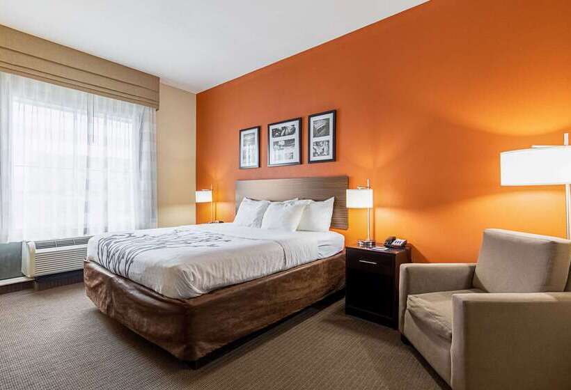 فندق Sleep Inn & Suites Dyersburg I155