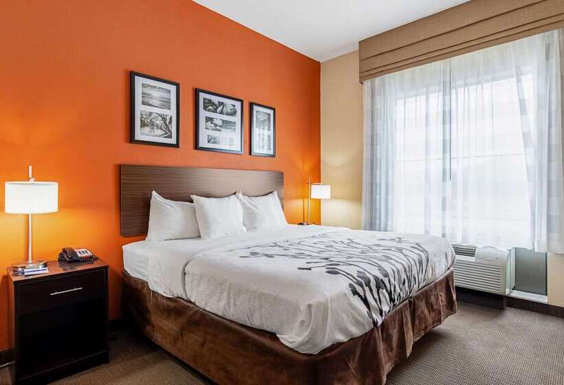 فندق Sleep Inn & Suites Dyersburg I155