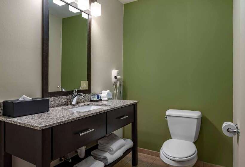 فندق Sleep Inn & Suites Oakley I70