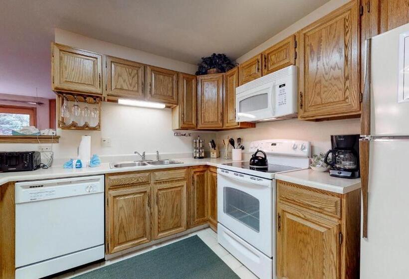 בית מלון כפרי Snowdance Manor 205