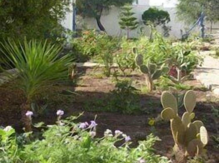 בית מלון כפרי Sol E Luna