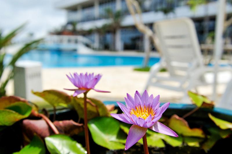 Southern Beach Hotel & Resort