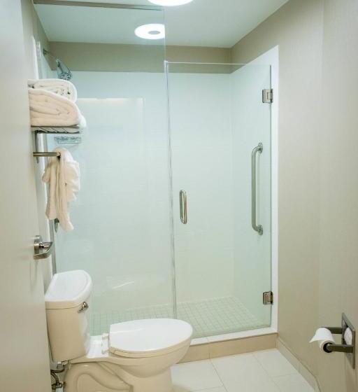 酒店 Springhill Suites By Marriott Winston Salem Hanes Mall