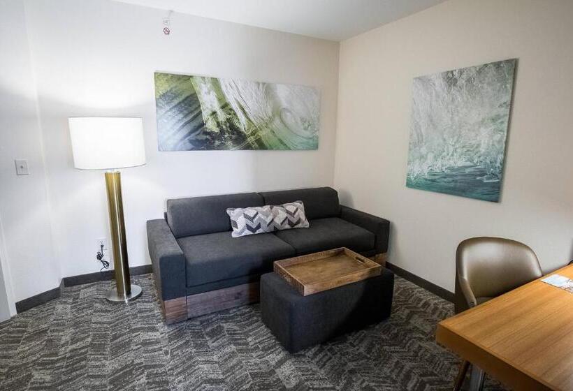 酒店 Springhill Suites By Marriott Winston Salem Hanes Mall