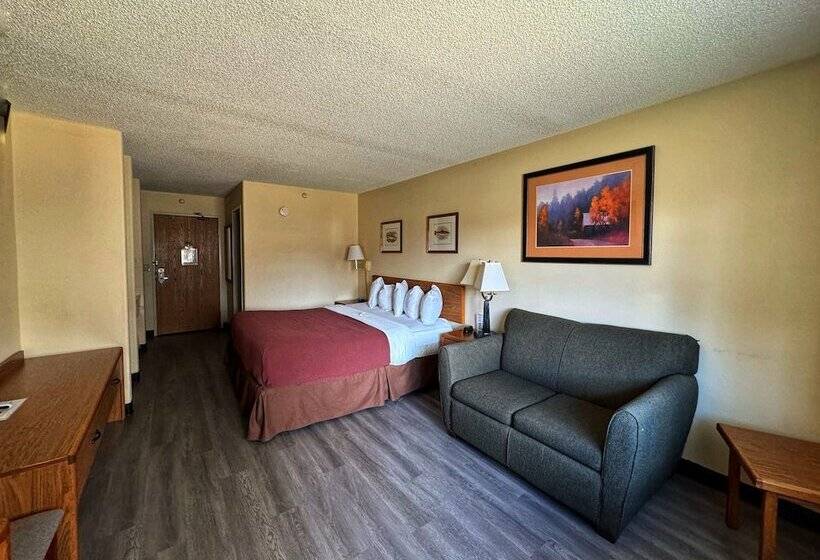 هتل Stay Wise Inn Cedaredge