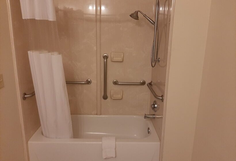 Отель The Regal