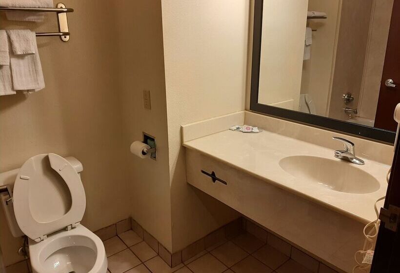 בית מלון כפרי The Regal