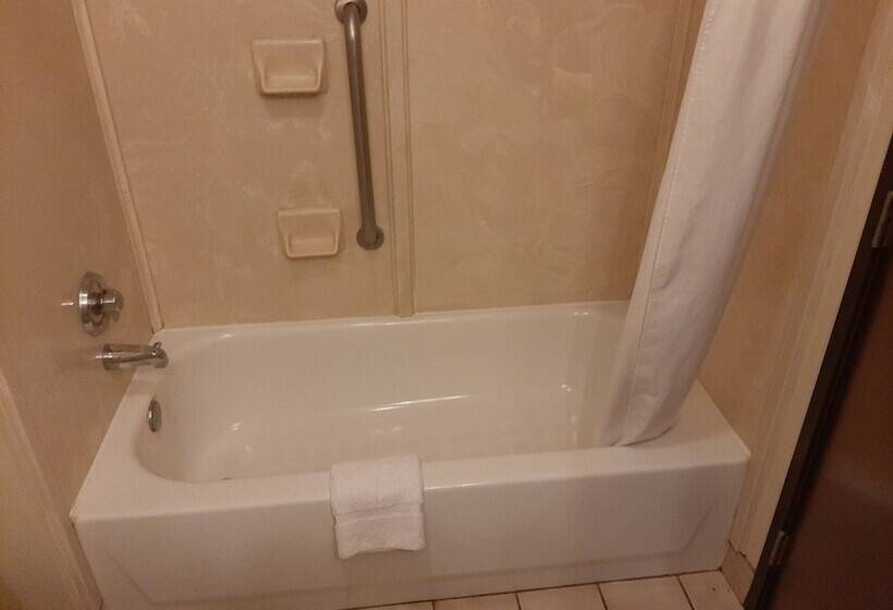 Отель The Regal