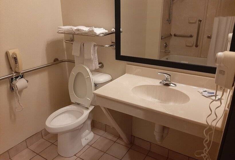 Отель The Regal