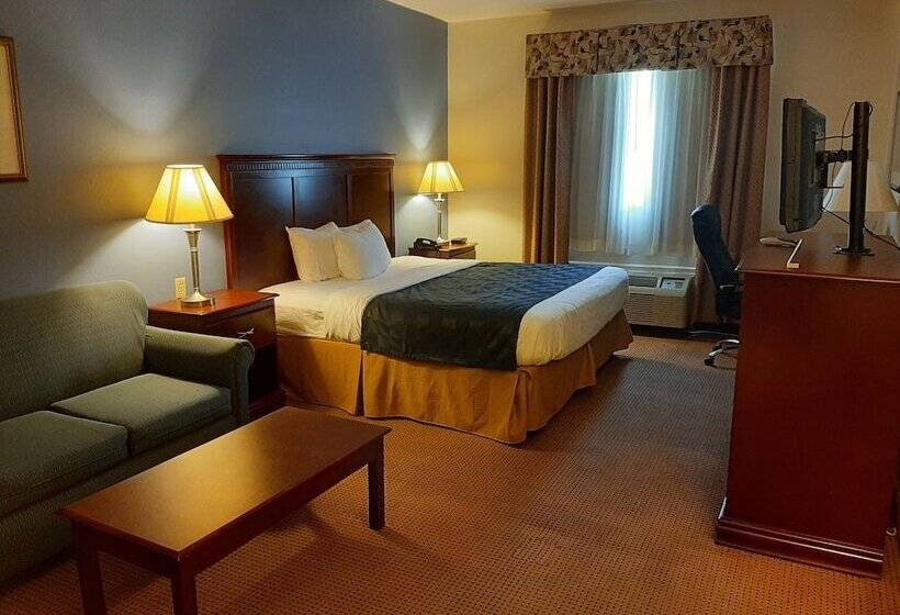 Отель The Regal