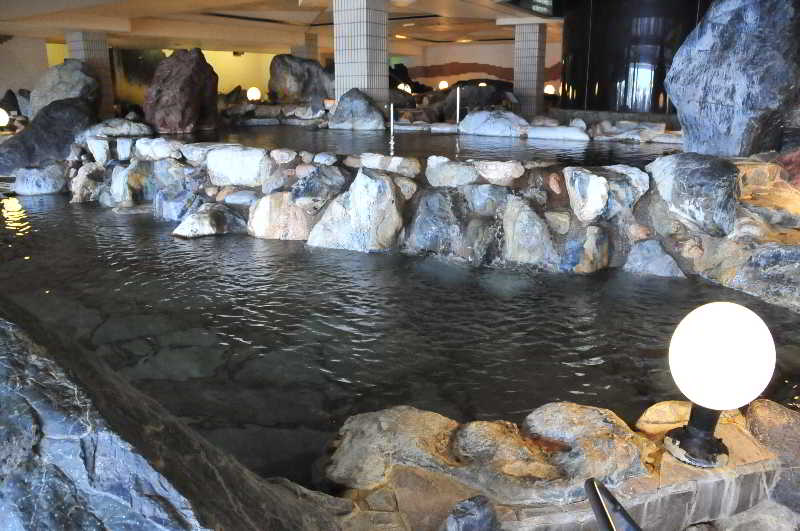 Отель Toya Sun Palace Resort & Spa