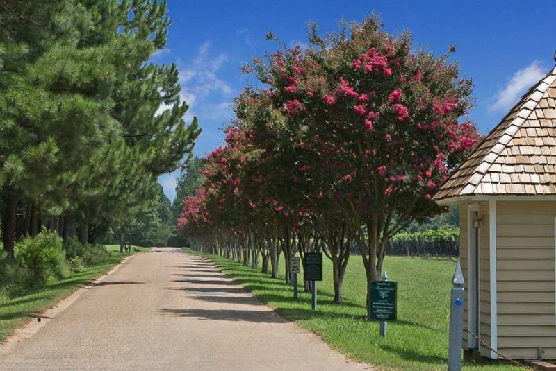 ホテル Wedmore Place