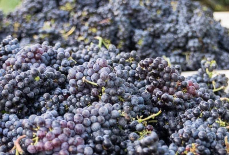 ホテル Wedmore Place