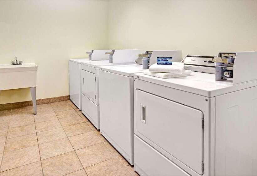 Microtel Inn & Suites By Wyndham Indianapolis Airport