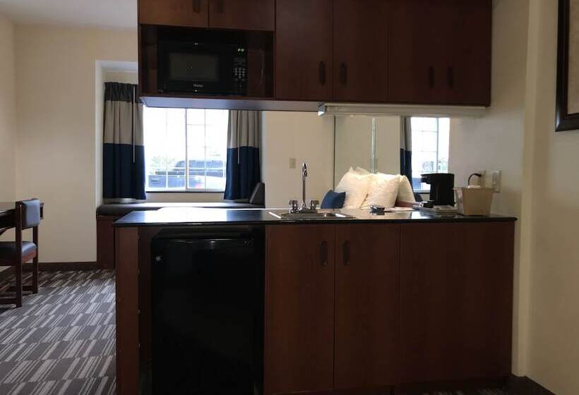 Microtel Inn & Suites By Wyndham Indianapolis Airport