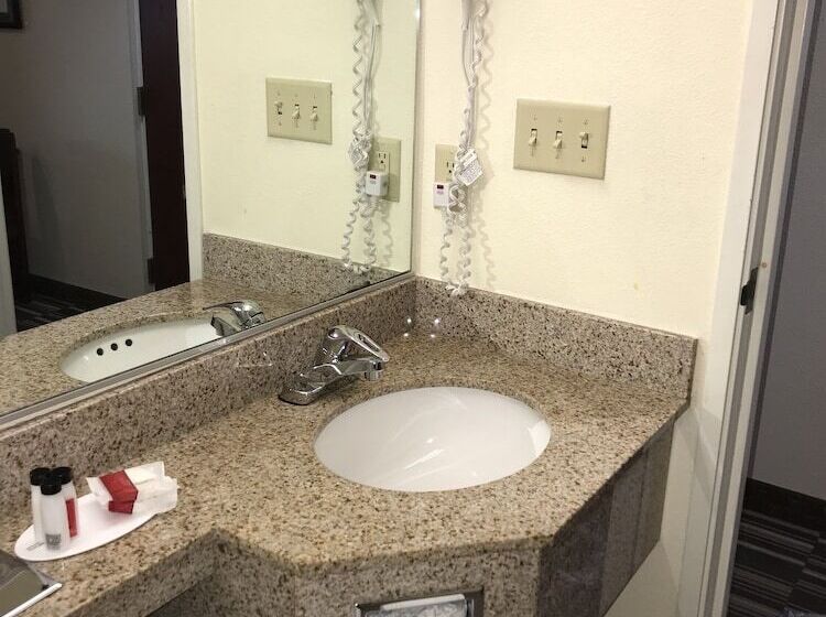 Microtel Inn & Suites By Wyndham Indianapolis Airport