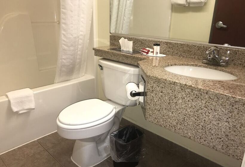 Microtel Inn & Suites By Wyndham Indianapolis Airport