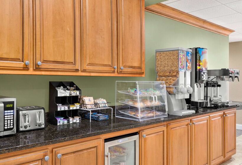 Microtel Inn & Suites By Wyndham Woodstock/atlanta North