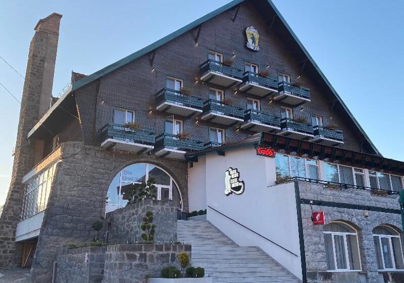 פנסיון Vila Ursul Negru