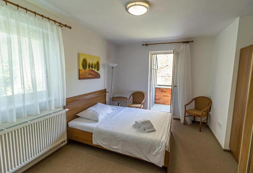 Letní Pobyt Na Hotelu Samechov V Posázaví