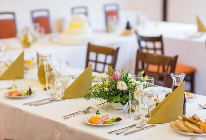 Letní Pobyt Na Hotelu Samechov V Posázaví