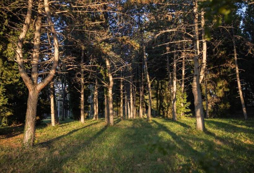 استراحتگاه Depandansa Bor