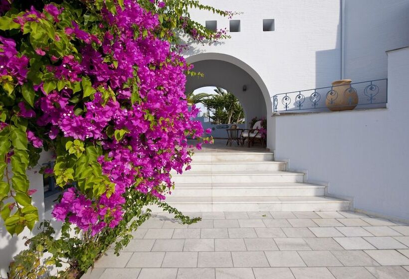 Ammos Naxos Exclusive Apartments & Studios