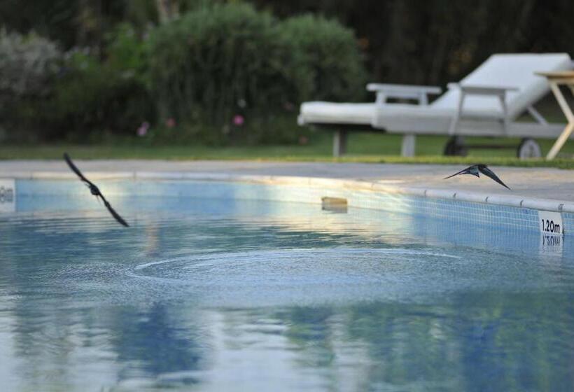 Ammos Naxos Exclusive Apartments & Studios