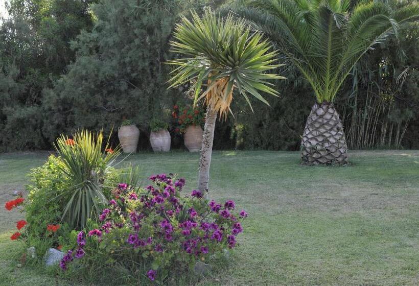 Ammos Naxos Exclusive Apartments & Studios