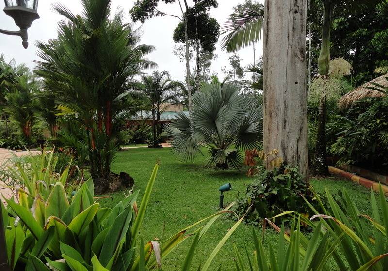 Blue River Resort & Hot Springs