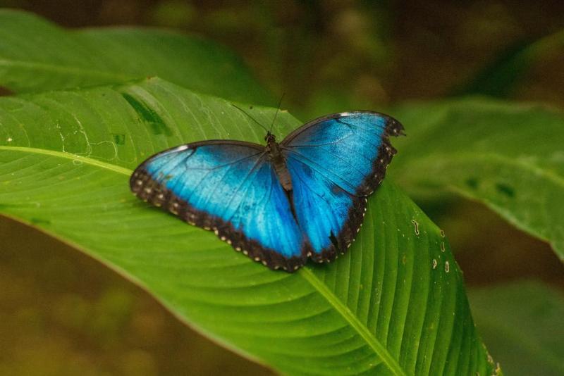 Blue River Resort & Hot Springs