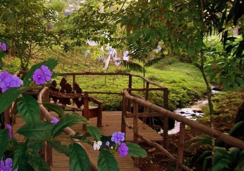 Blue River Resort & Hot Springs