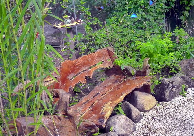 Blue River Resort & Hot Springs