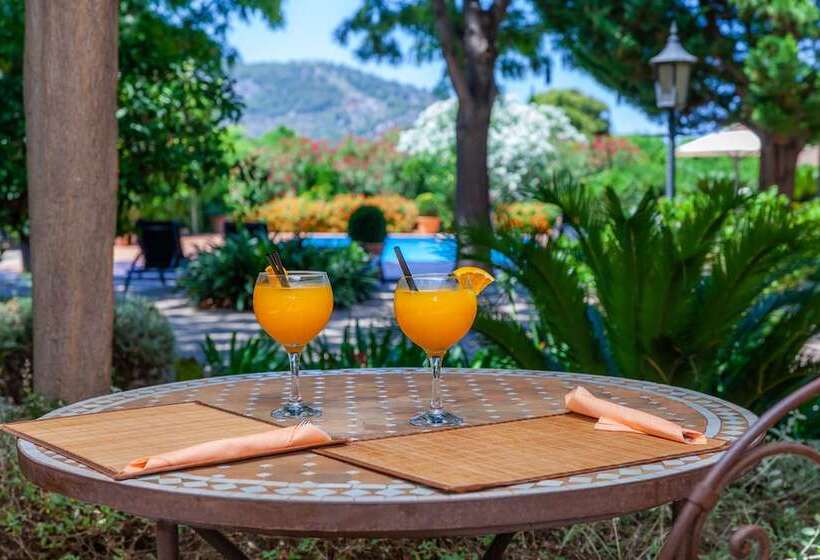 Finca Ca S Curial   Agroturismo   Adults Only