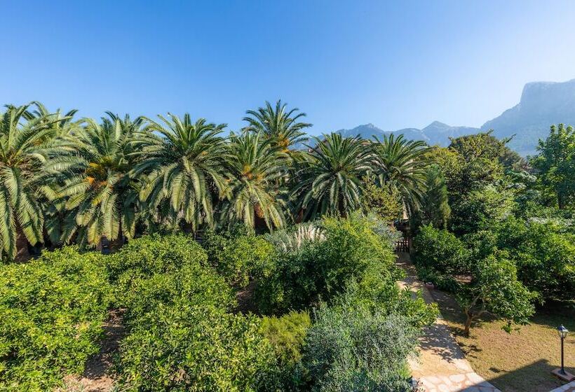 Finca Ca S Curial   Agroturismo   Adults Only