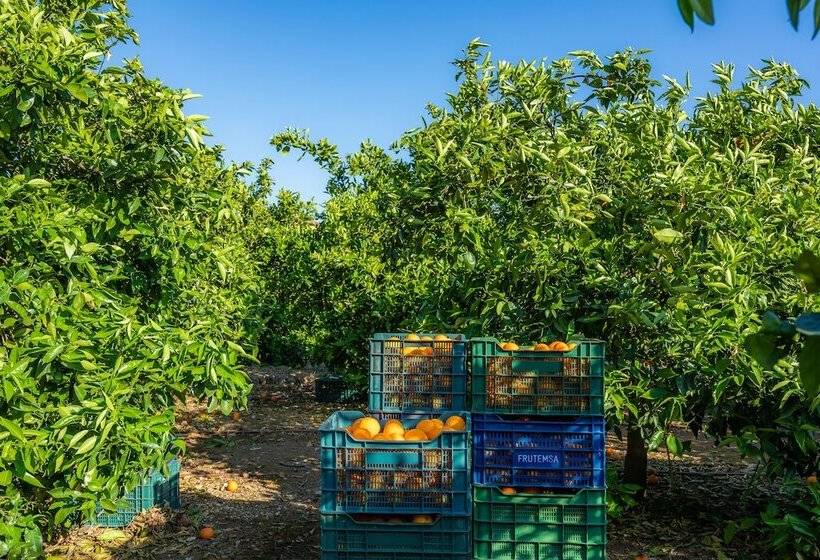 Finca Ca S Curial   Agroturismo   Adults Only