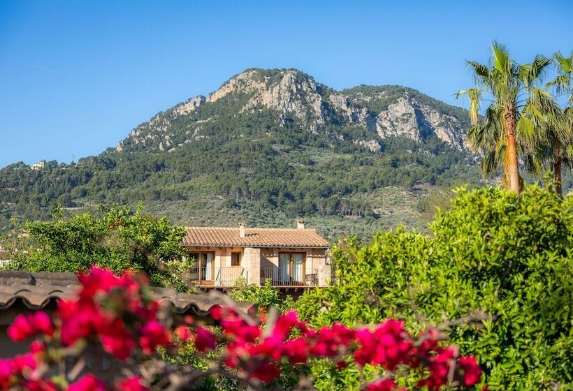 Finca Ca S Curial   Agroturismo   Adults Only