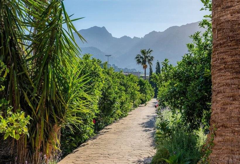 Finca Ca S Curial   Agroturismo   Adults Only