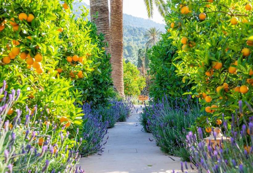 Finca Ca S Curial   Agroturismo   Adults Only