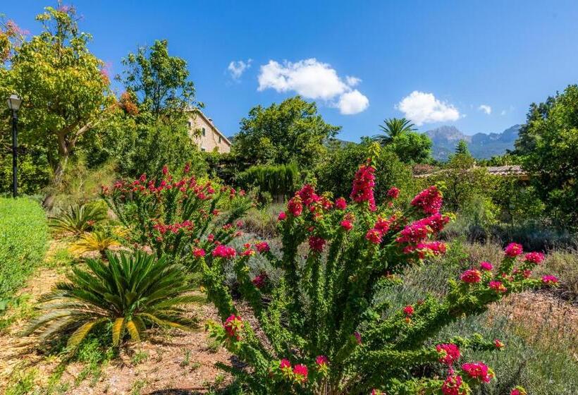 Finca Ca S Curial   Agroturismo   Adults Only