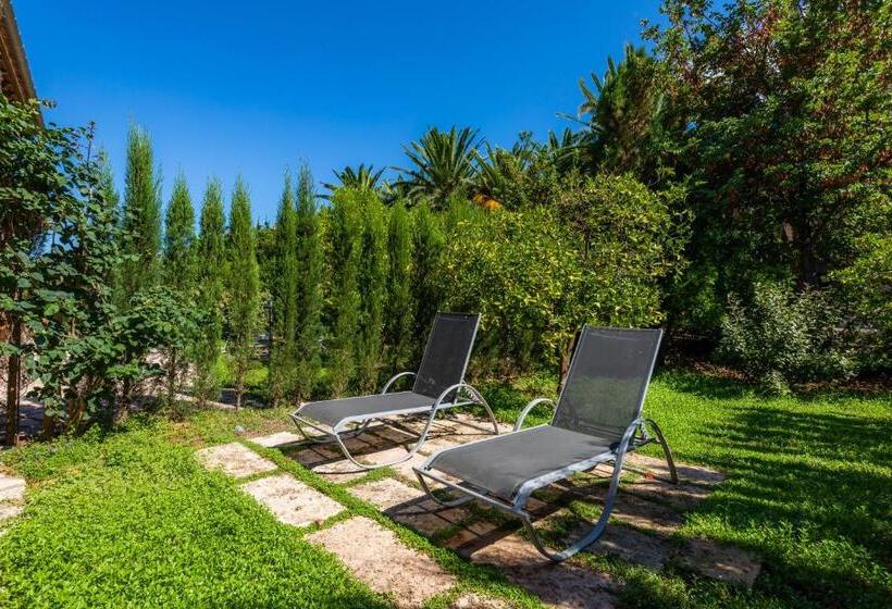 Finca Ca S Curial   Agroturismo   Adults Only