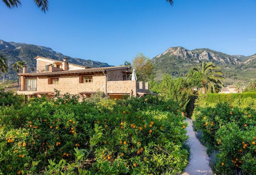 Finca Ca S Curial   Agroturismo   Adults Only