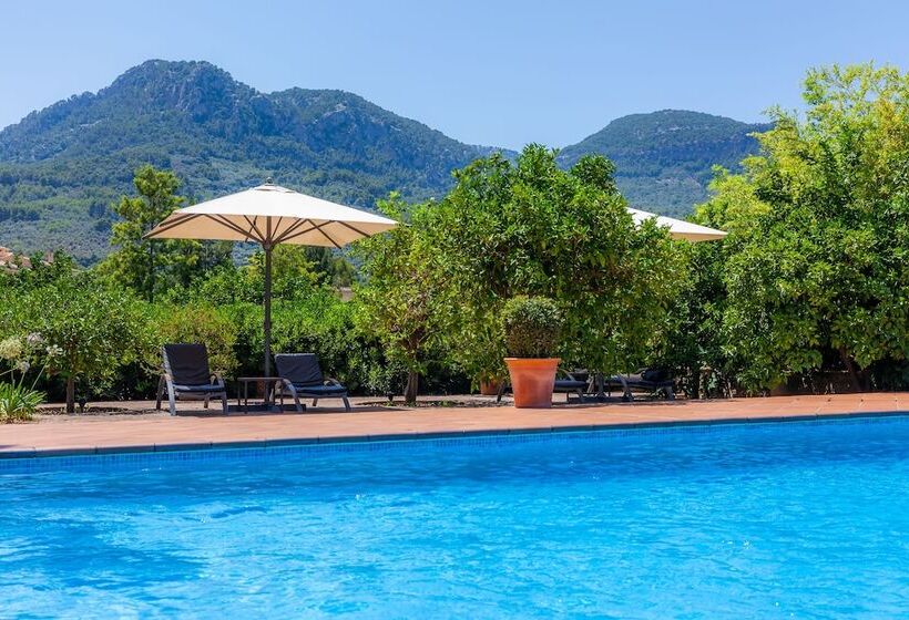 Finca Ca S Curial   Agroturismo   Adults Only