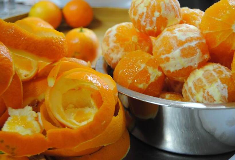 Finca Ca S Curial   Agroturismo   Adults Only