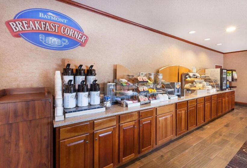 酒店 Baymont By Wyndham Chelsea