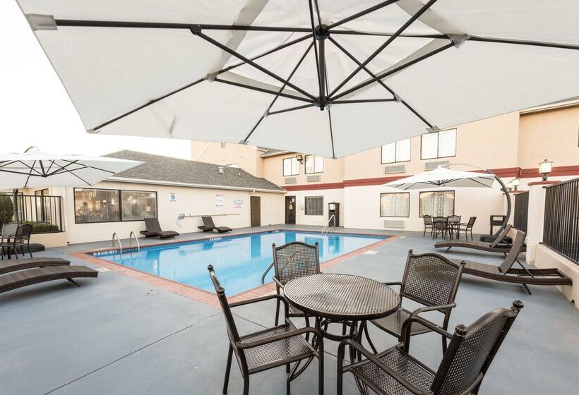 فندق Best Western Abilene Inn And Suites