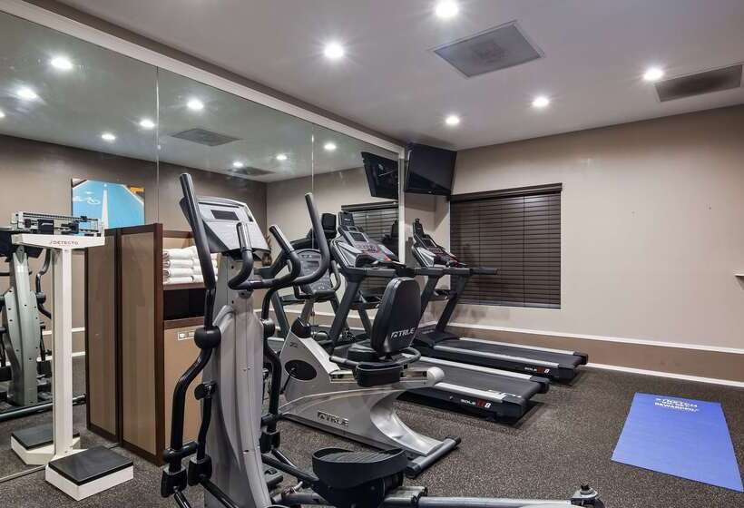 בית מלון כפרי Best Western Airport Inn & Suites