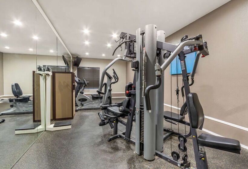 בית מלון כפרי Best Western Airport Inn & Suites