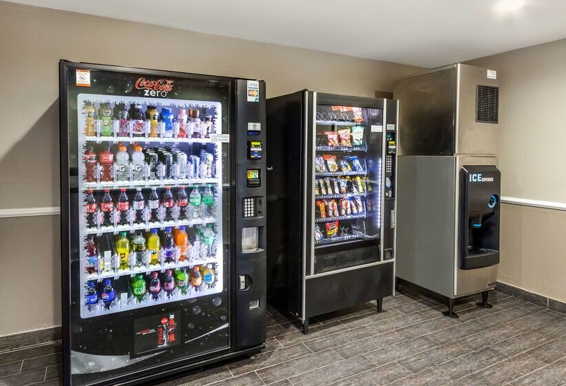 בית מלון כפרי Best Western Airport Inn & Suites