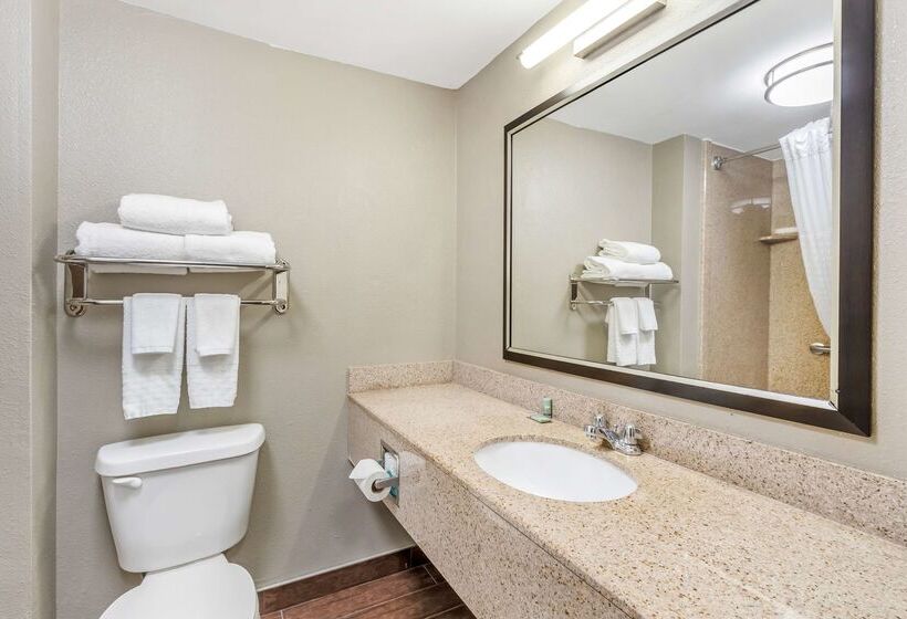 בית מלון כפרי Best Western Airport Inn & Suites